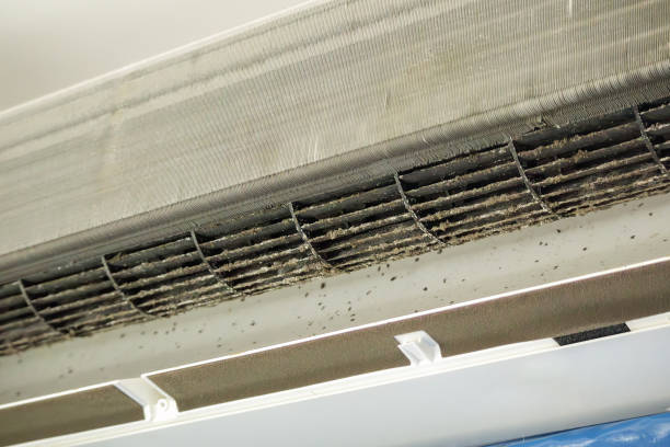 Best Professional Duct Cleaning Services  in New Wilmington, PA